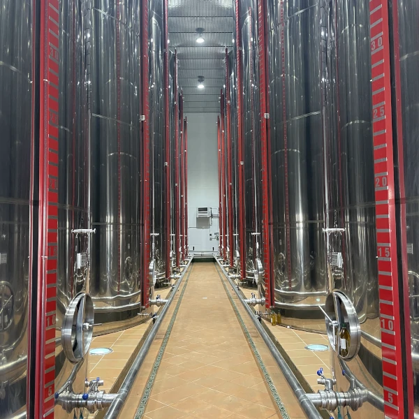 aove-santa-eulalia-depositos-de-aceite
